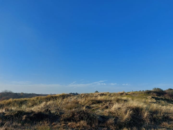 Photo 55 of Jan van Renesseweg 4