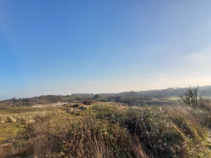 Photo 56 of Jan van Renesseweg 4