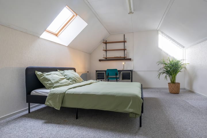 Photo 35 of Christinalaan 6