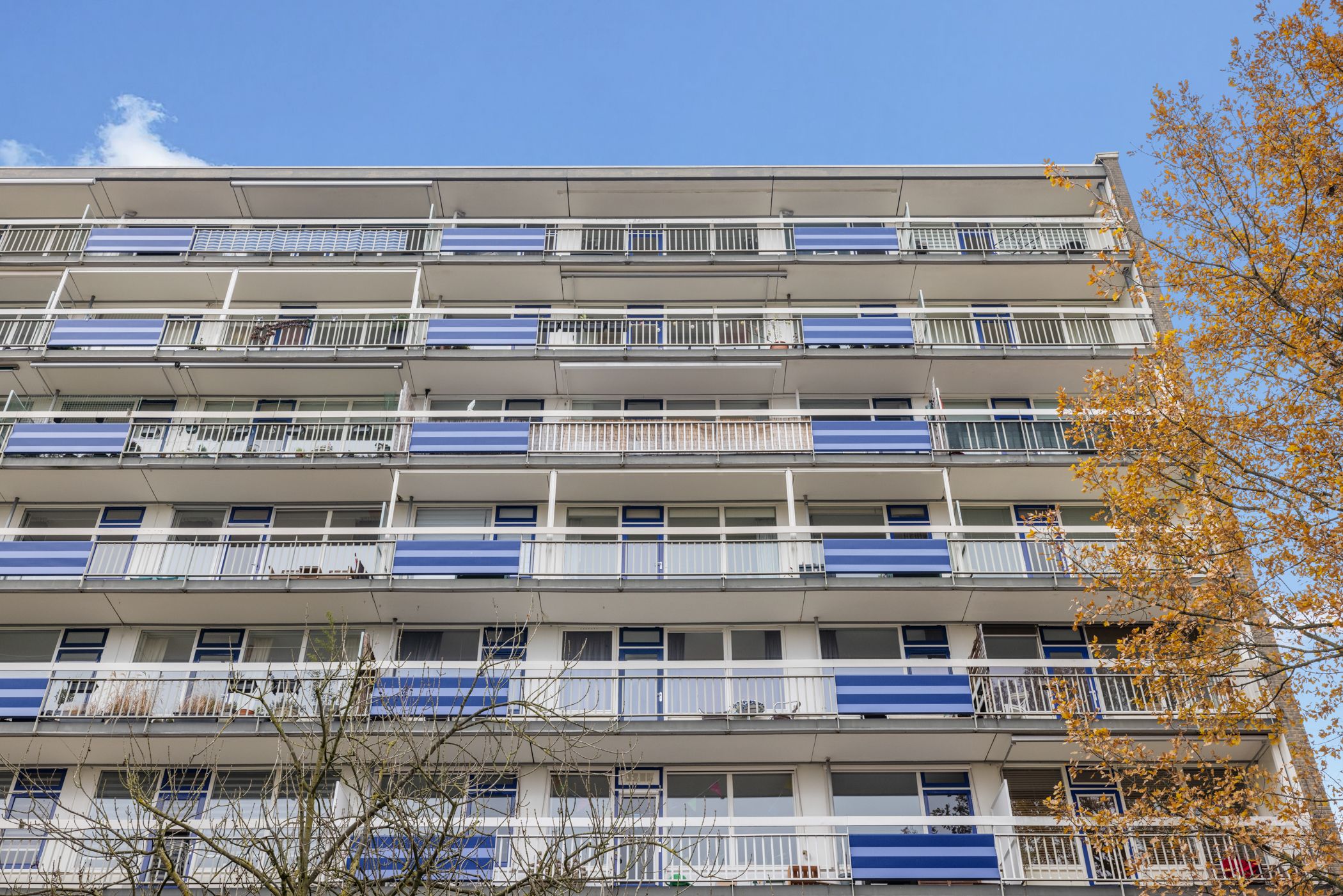 Photo 6 of Wiekslag 67