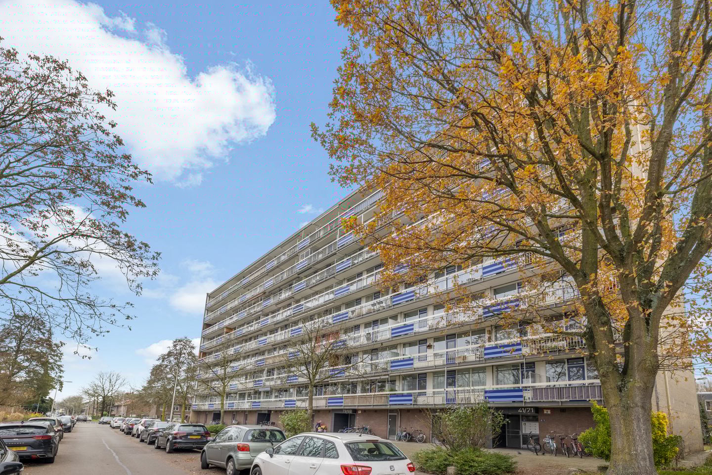 Photo 50 of Wiekslag 67