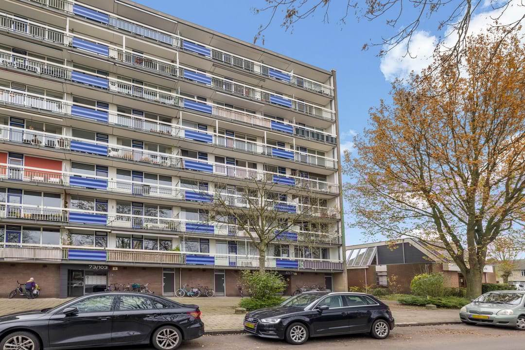 Photo 52 of Wiekslag 67