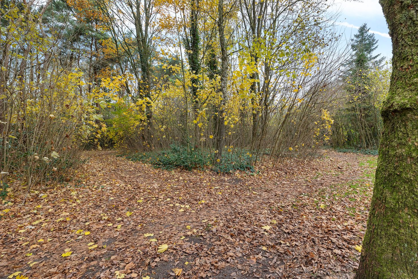 Foto 5 van Wendakkers 34