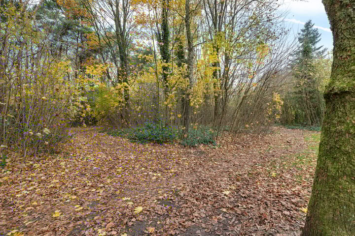 Photo 5 of Wendakkers 34