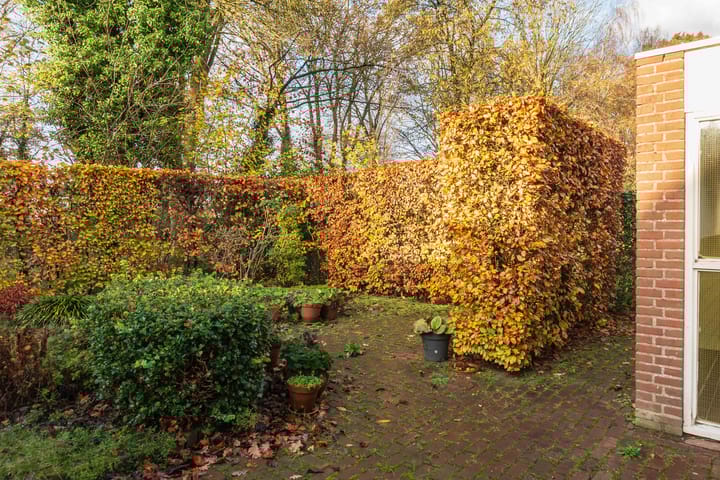 Foto 37 van Jeker 45