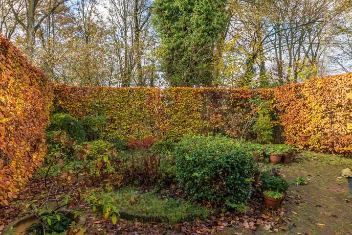 Foto 38 van Jeker 45