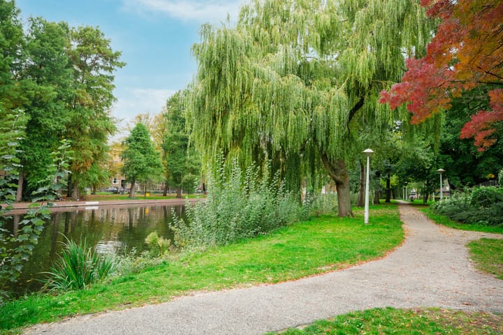 Foto 29 van Marcantilaan 137