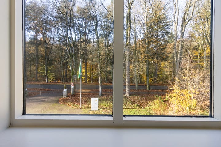 Foto 29 van Sminkewei 7