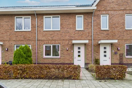 undefined main image