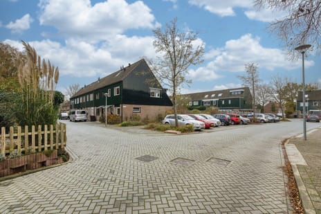 Zwanebloem 36 secondary image