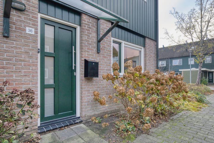 Foto 35 van Zwanebloem 36