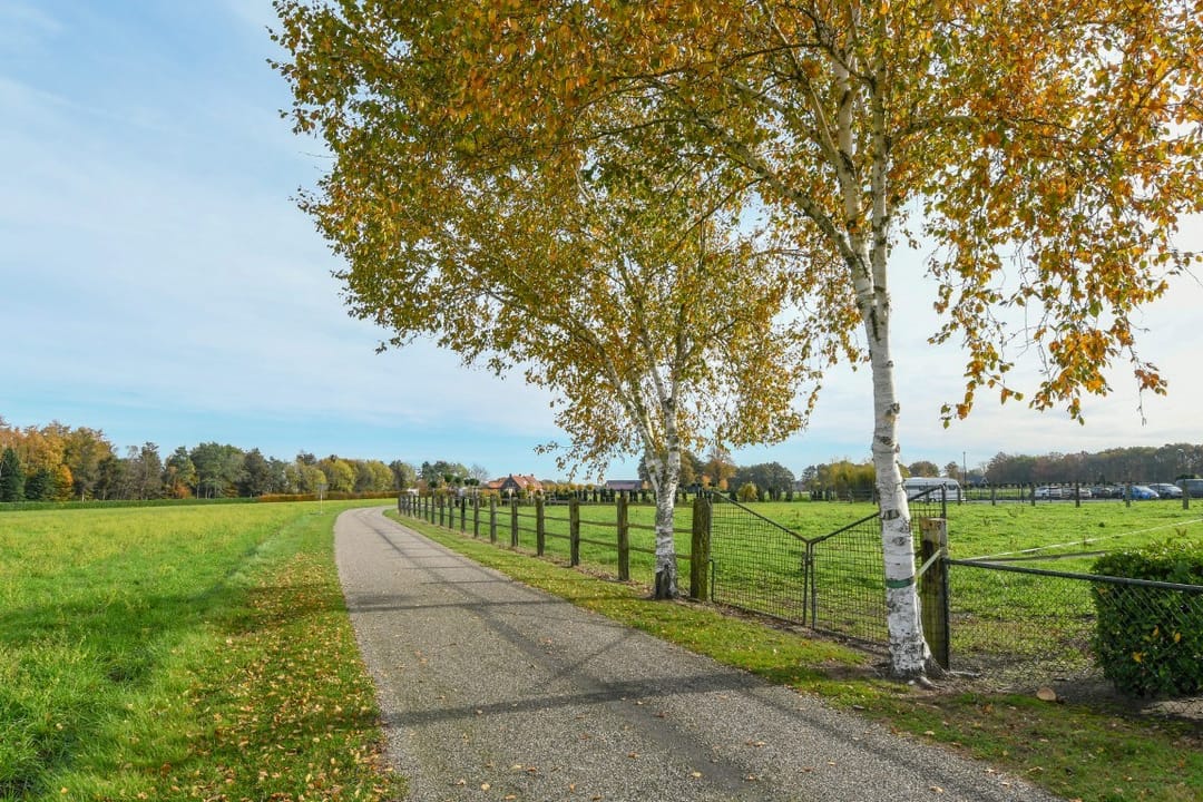 Foto 41 van Schaapsbrug 3