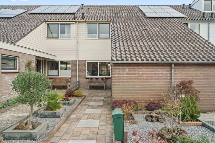 Purperreiger 7 main image