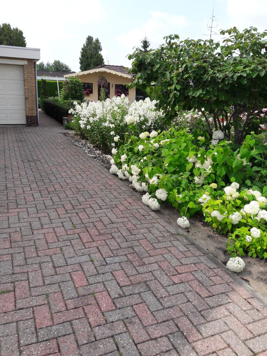 Foto 41 van Carboonlaan 6