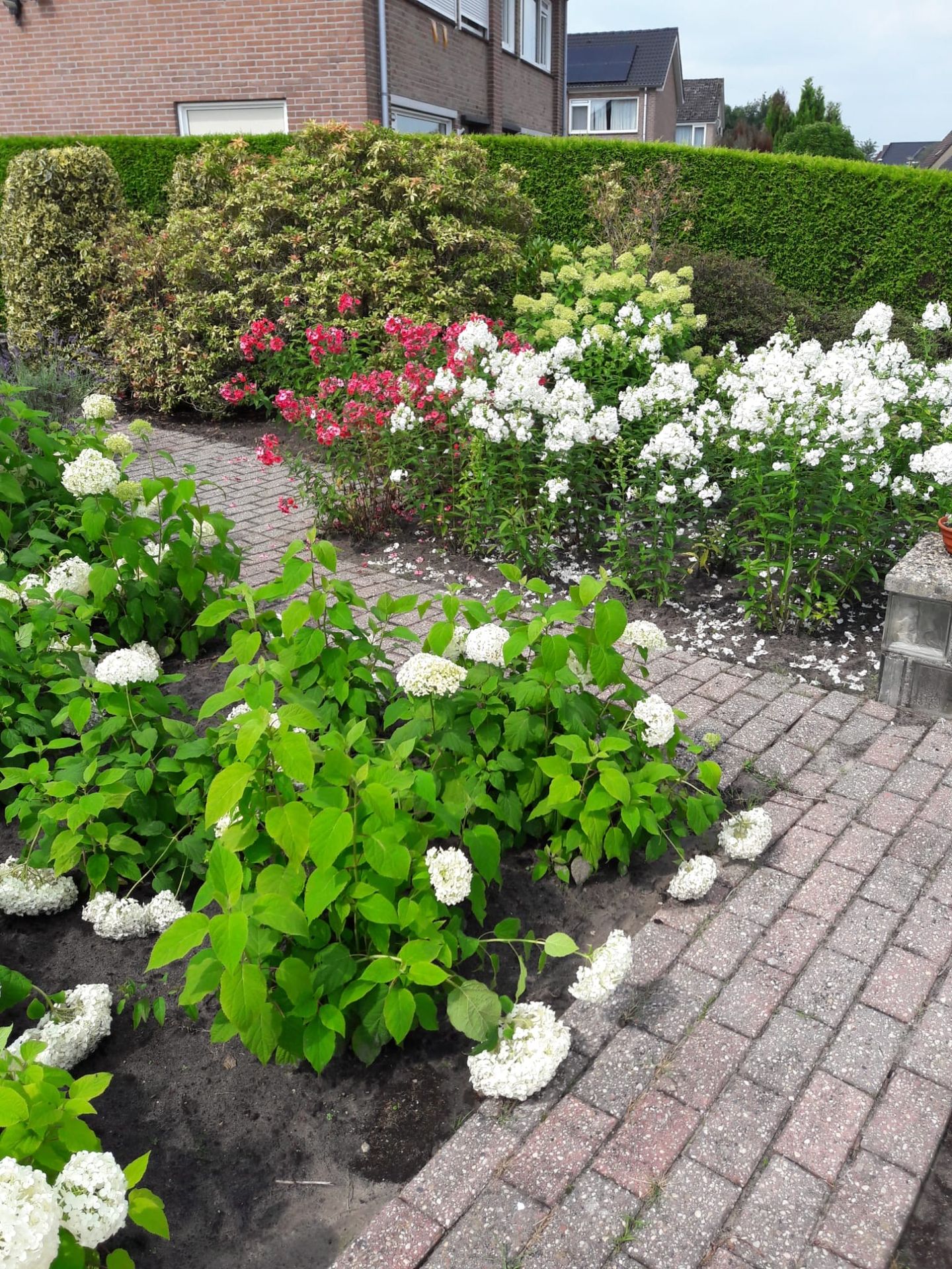 Foto 44 van Carboonlaan 6