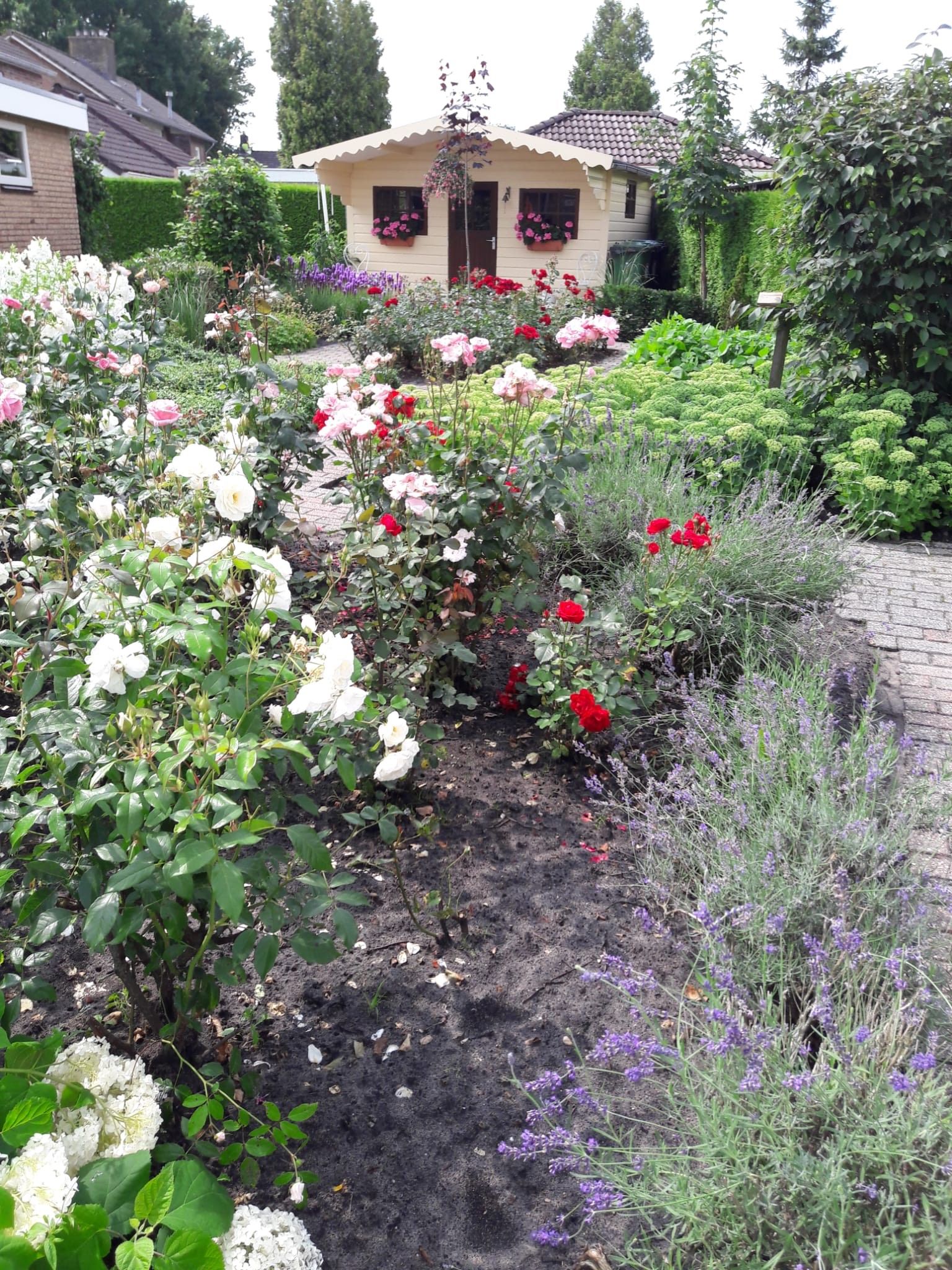 Foto 42 van Carboonlaan 6