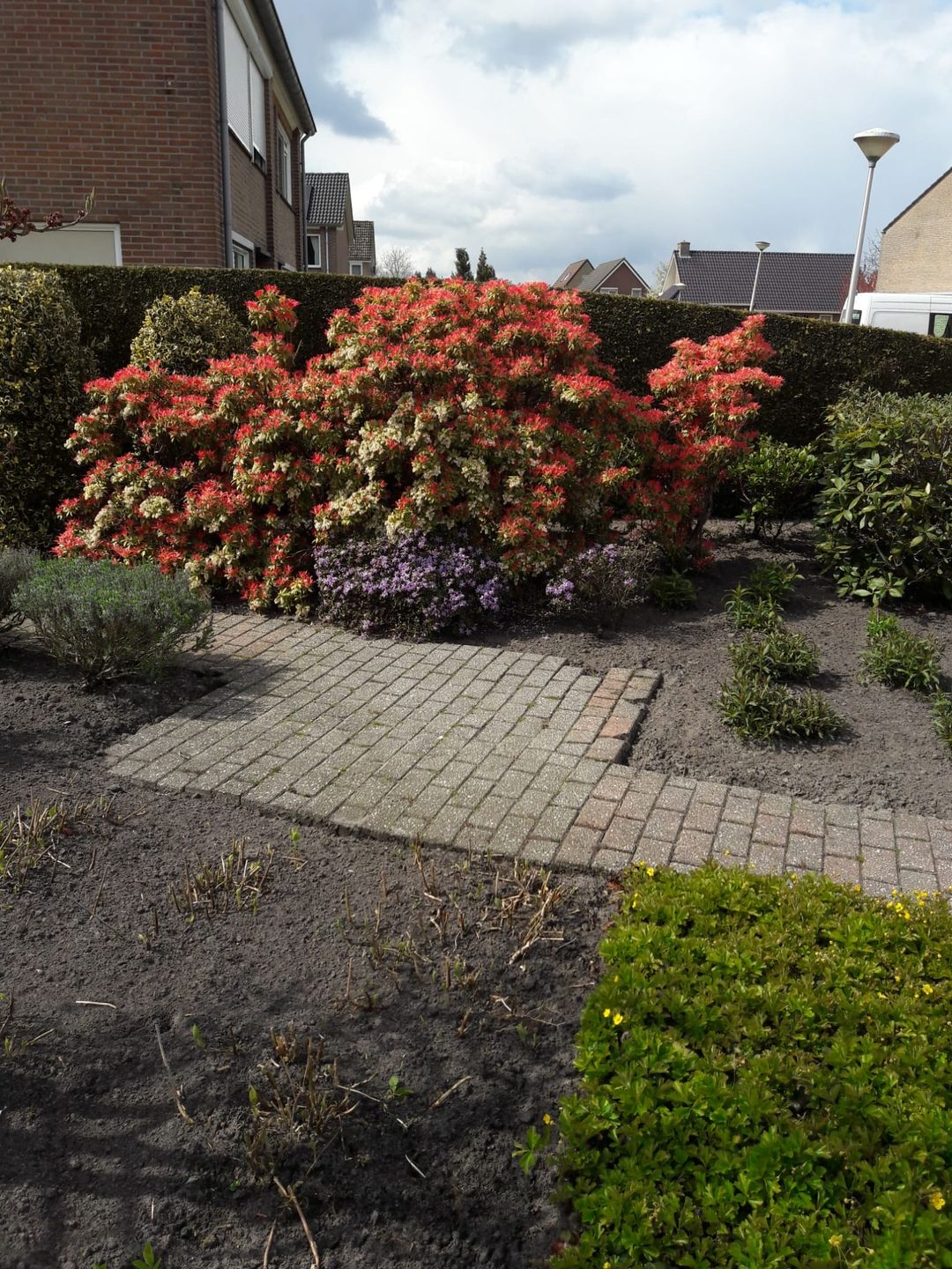 Foto 43 van Carboonlaan 6