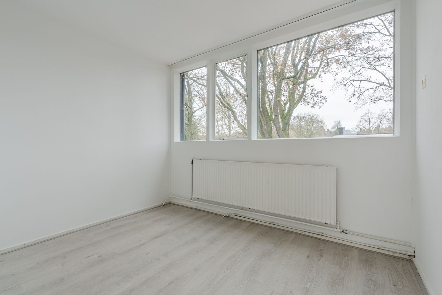 Foto 14 van Dillingecamp 23