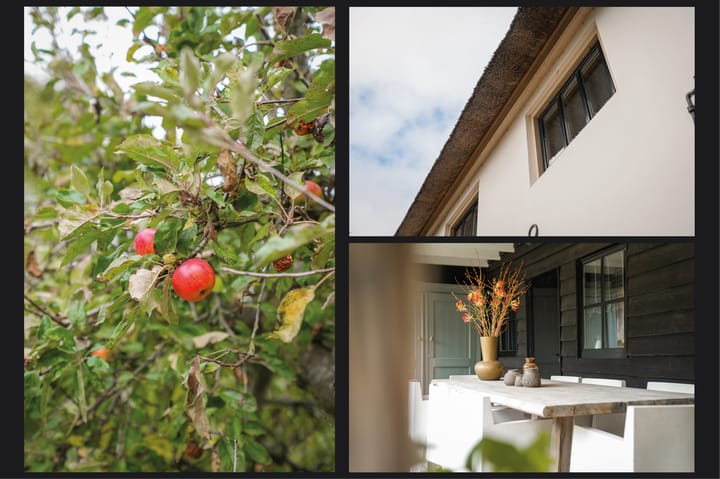 Photo 49 of Oude Dijk 21