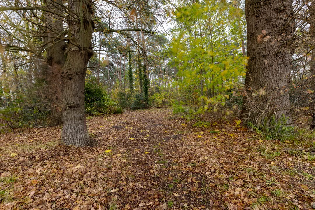 Foto 46 van Moriaansdreef 94