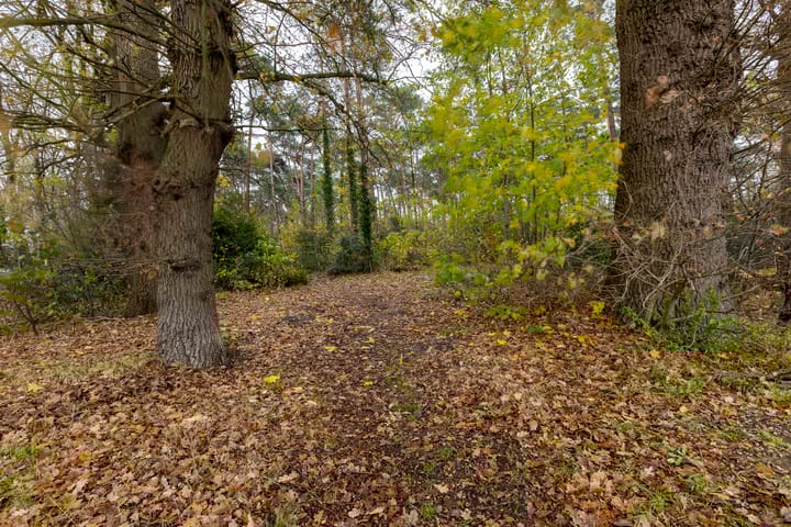 Foto 46 van Moriaansdreef 94