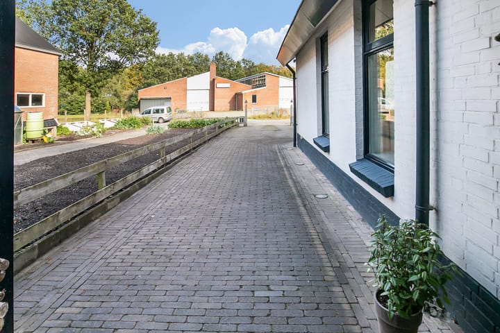 Foto 38 van De Gloep 5