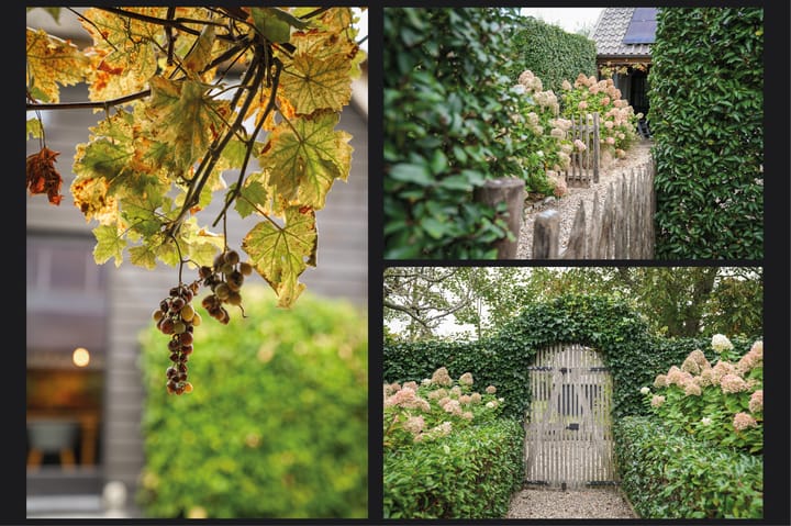 Photo 75 of Oude Dijk 21