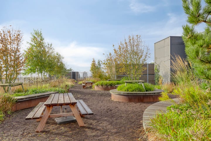 Photo 29 of Surinamepad 122