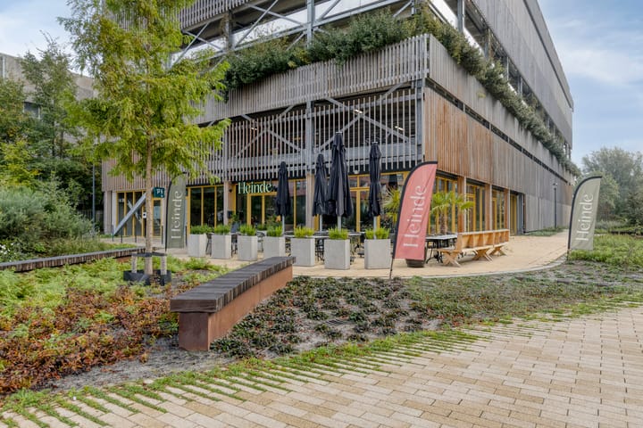 Photo 31 of Surinamepad 122