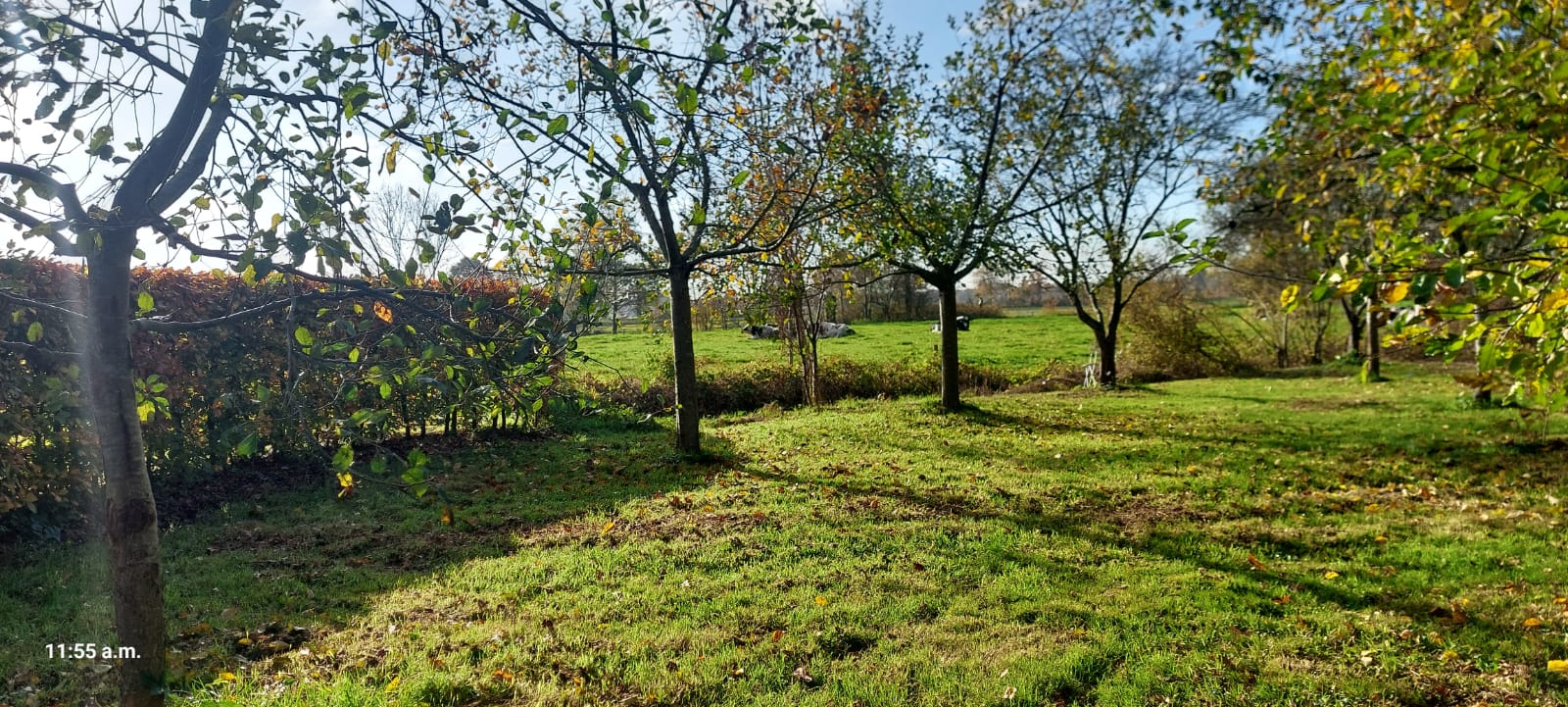 Foto 30 van Hoogeveenseweg 26