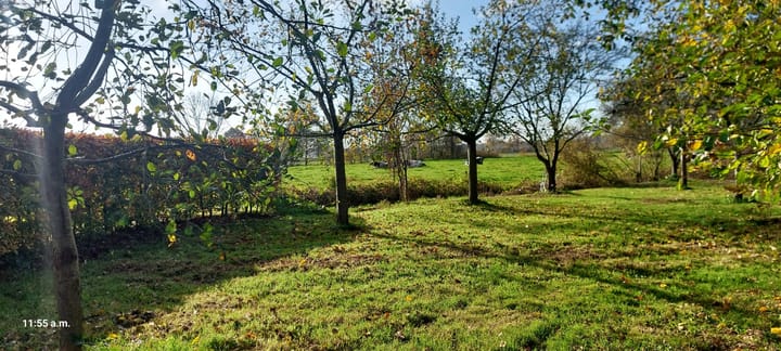 Foto 30 van Hoogeveenseweg 26