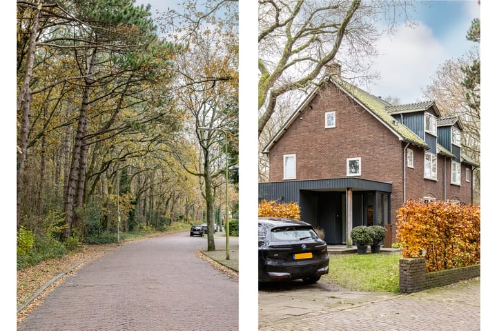 Foto 46 van Olga von Gotschlaan 23