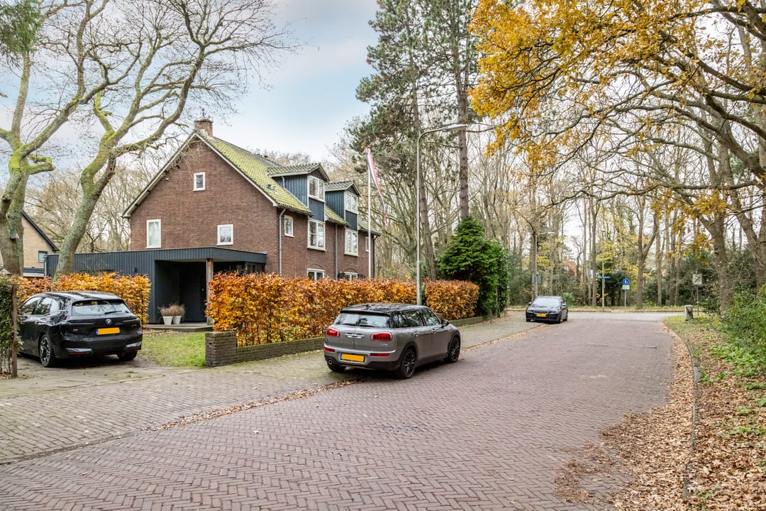 Foto 47 van Olga von Gotschlaan 23