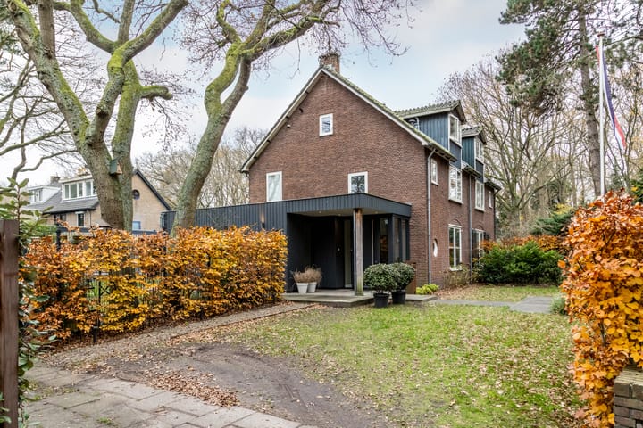 Foto 48 van Olga von Gotschlaan 23