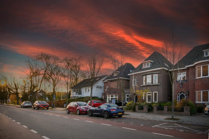 Foto 41 van Biest 15