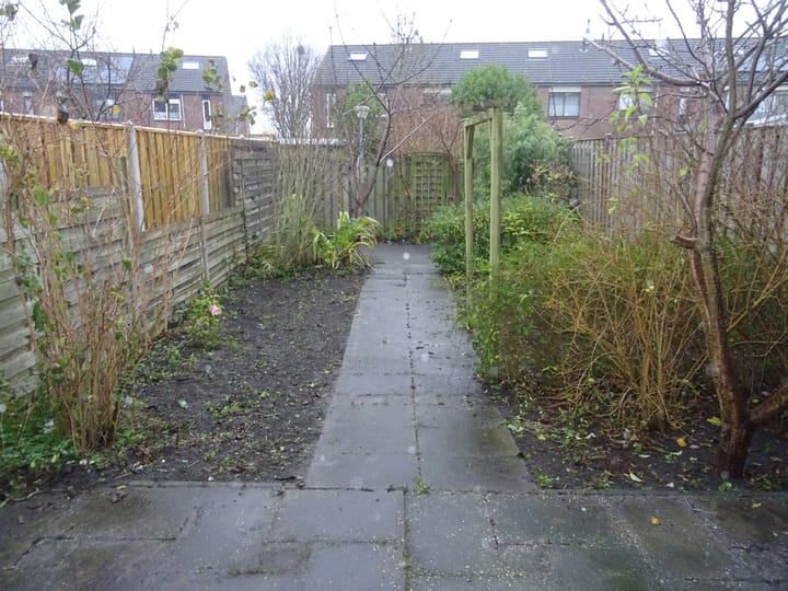 Photo 4 of Punter 48 52