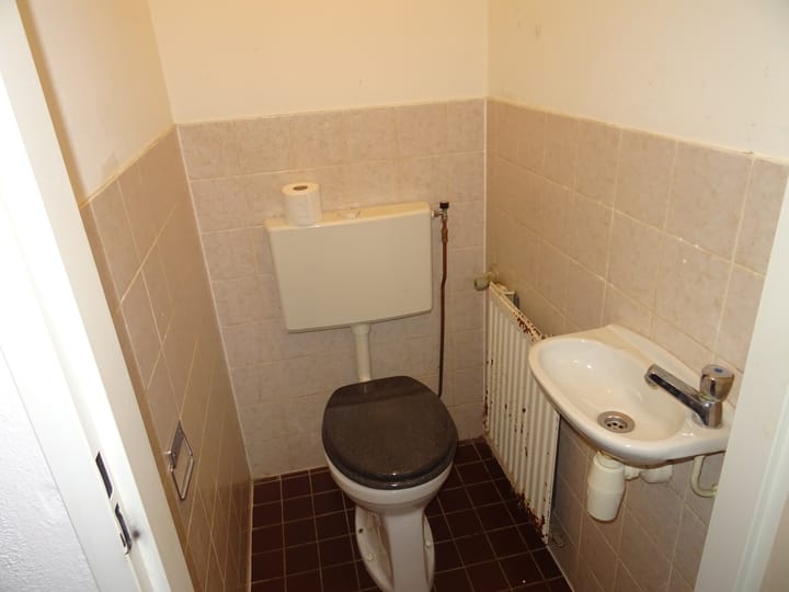 Photo 6 of Punter 48 52