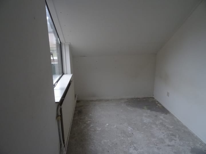 Photo 7 of Punter 48 52