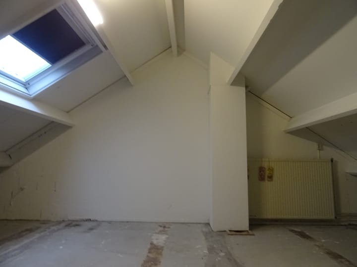 Photo 11 of Punter 48 52