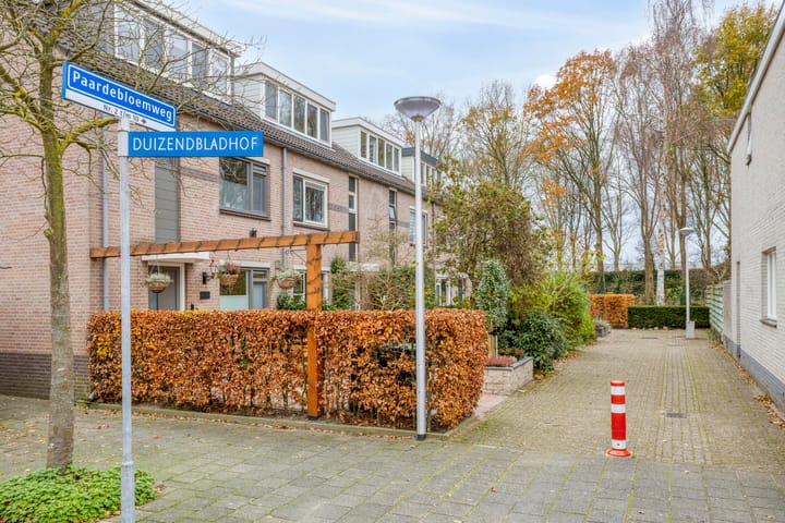 Foto 5 van Paardebloemweg 2