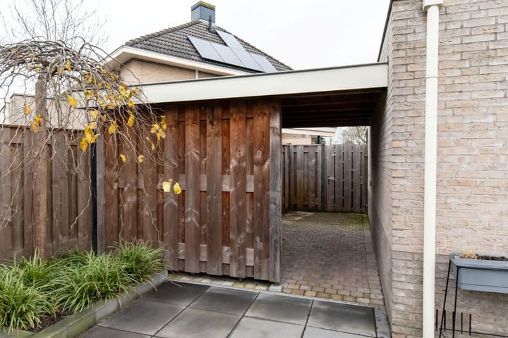 Foto 38 van Steenanjer 11