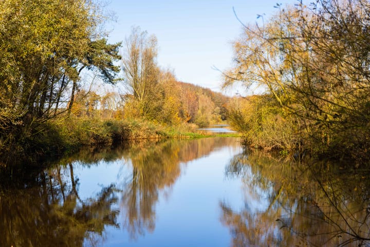 A promotional picture for the office