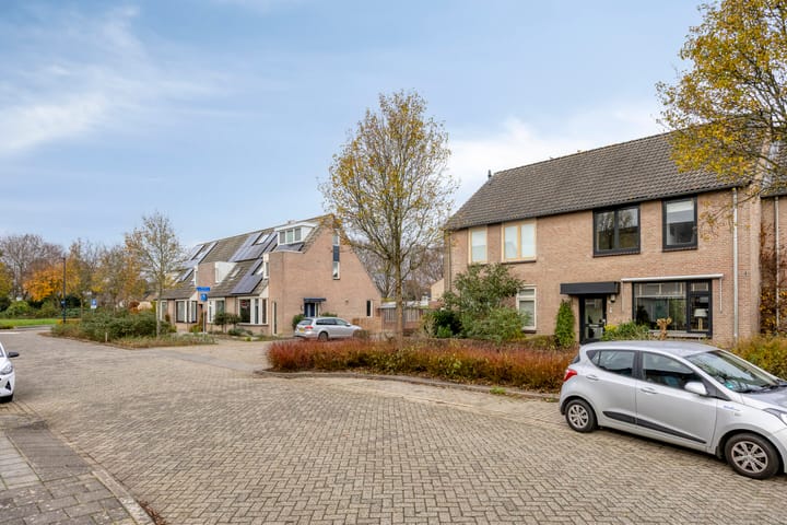 Foto 30 van Willem Dreeslaan 29