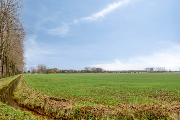 Foto 32 van Willem Dreeslaan 29