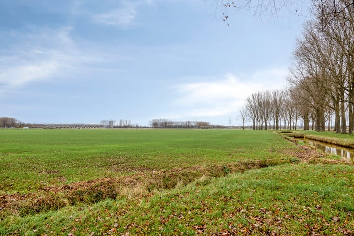 Foto 33 van Willem Dreeslaan 29