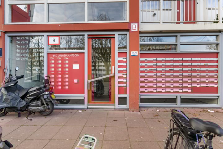 Photo 28 of Jacques Urlusplantsoen 355