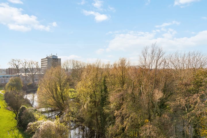 Photo 4 of Jacques Urlusplantsoen 355