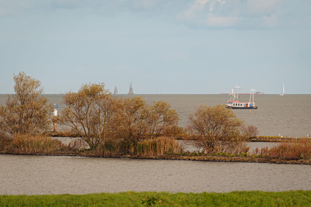 Foto 62 van W. Oudshoornstraat 6