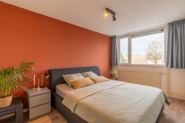 Foto 4 van Wolfskers 37