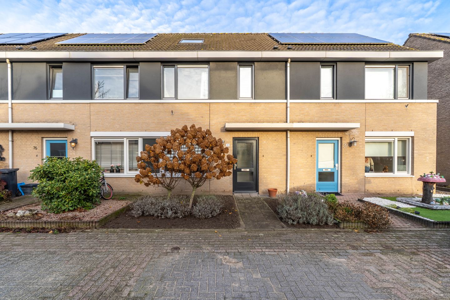 Foto 5 van Wolfskers 37